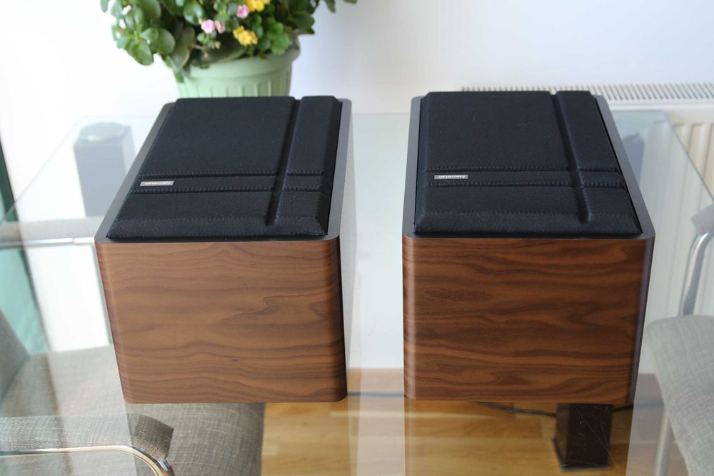 Neostat P600S, 50/80 Wati, 36 - 22 000 Hz (Magnat 1979)