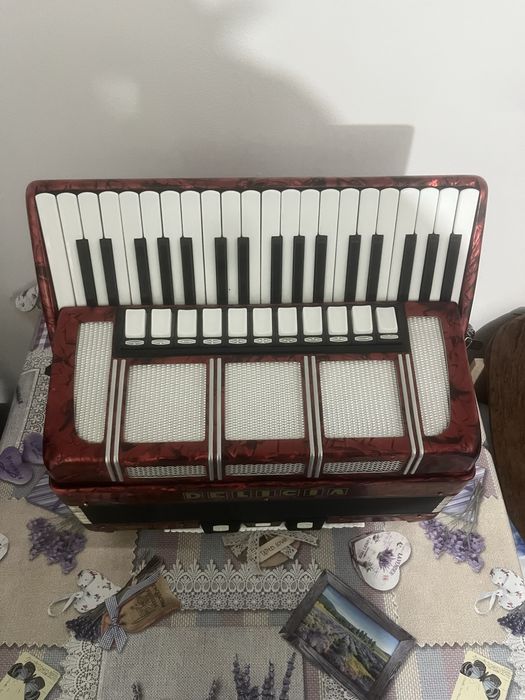 Acordeon Delicia