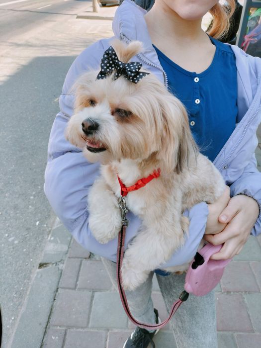 Donez 3 cateluse. Azi (sâmbătă, 08.11) au 5 săptămâni