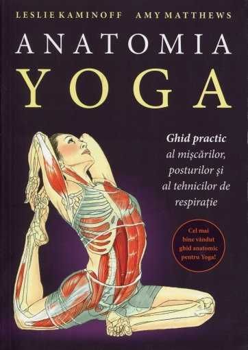 carte anatomia yoga