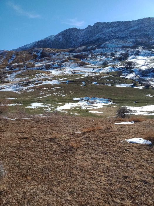 Продается участок в ущелье Бургулюк (Акмешит)