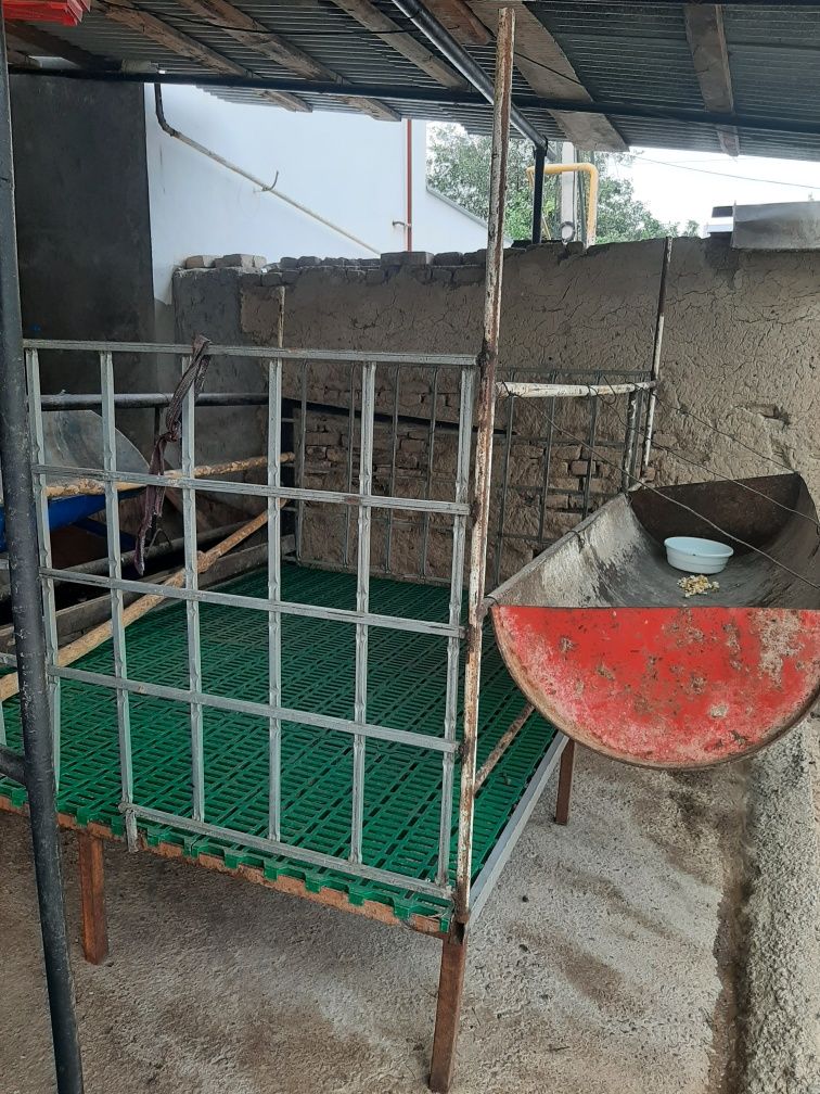 Qoyhona b/u 3 milyon kamibor