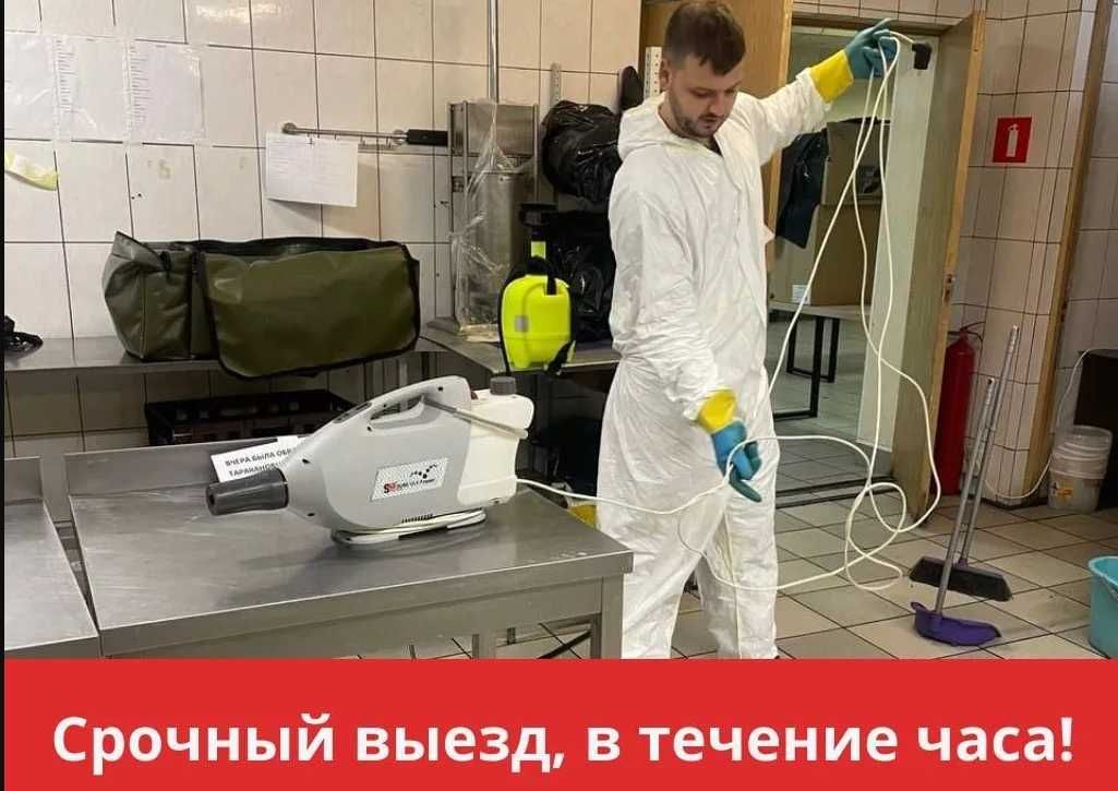 BEPUL tuman-dezinfekisya-klop-tarakan-burga-дезинсекция-клапа-клопов %