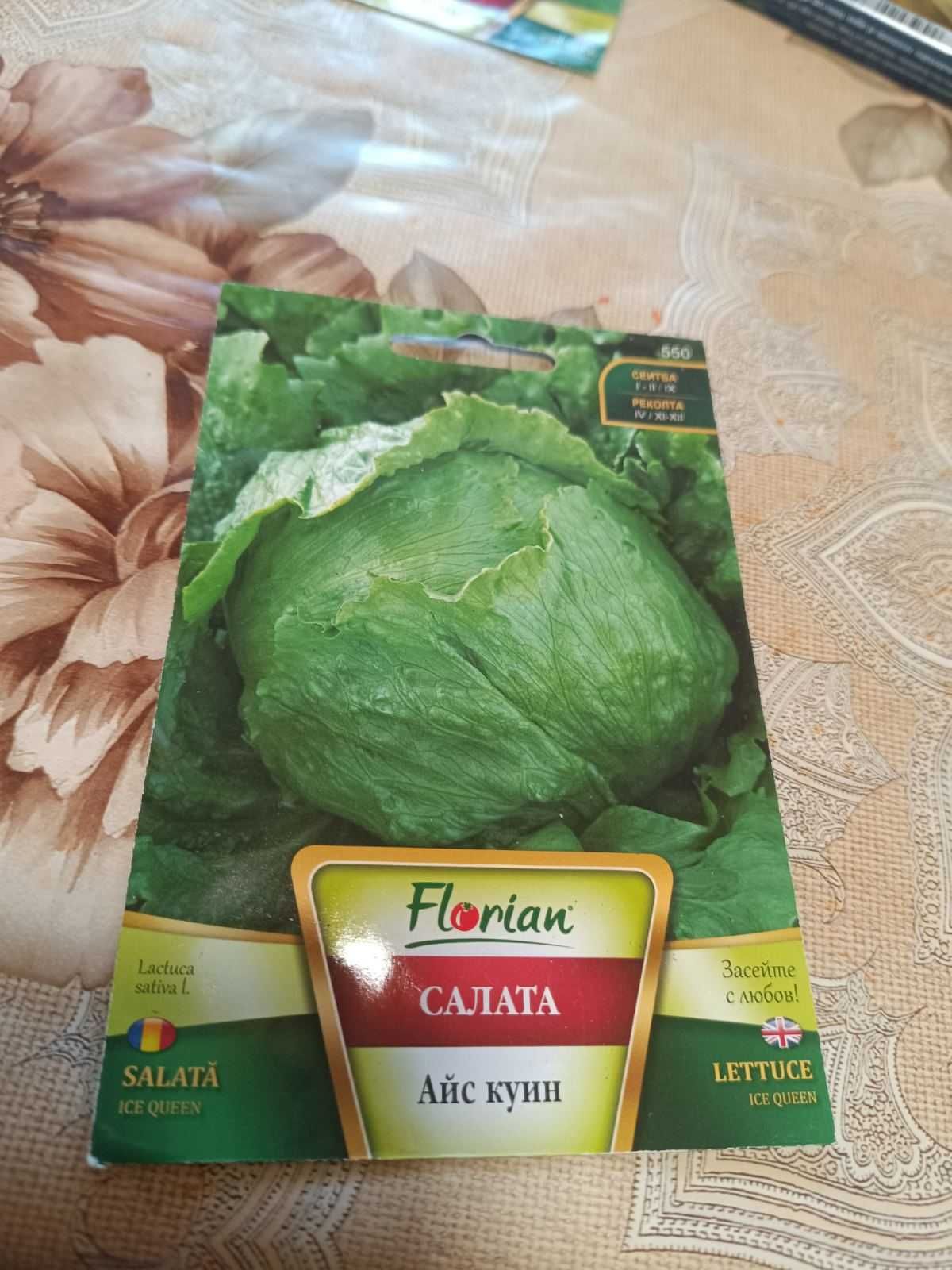 Предлагам разсад салати