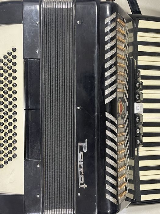 Acordeon Parrot 1309 BLACK -A-