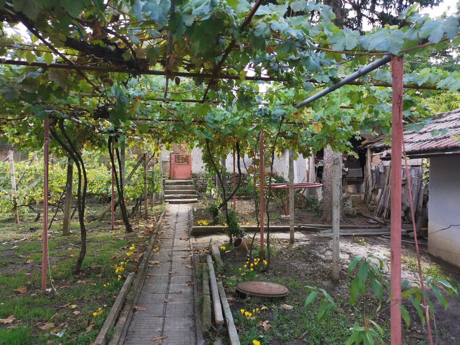 Продавам къща в село Пелишат, Плевенско