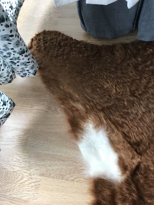 Piele de Vaca Koldby Ikea Vita The Home Kika Mobexpert Xxxlutz Covor