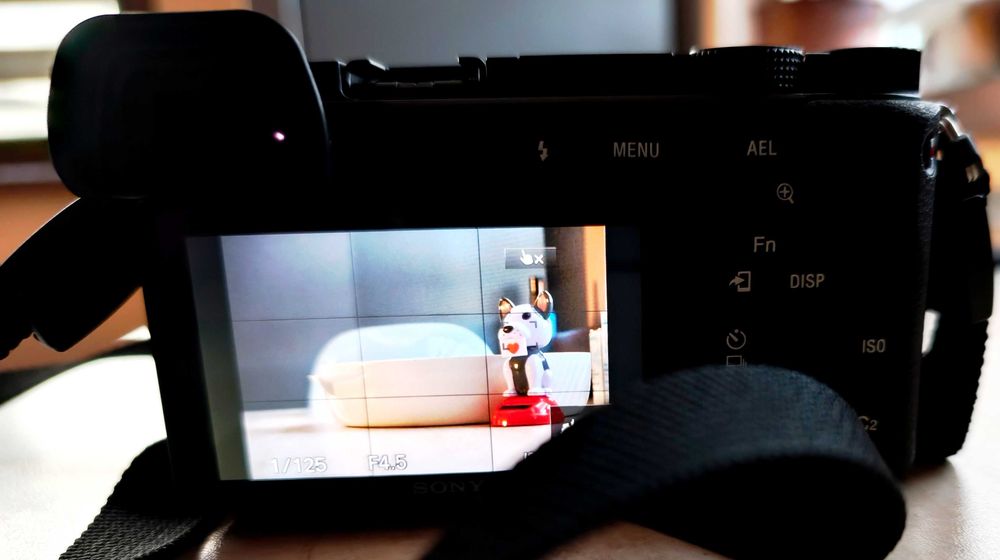 Sony a6100 + аксесоари