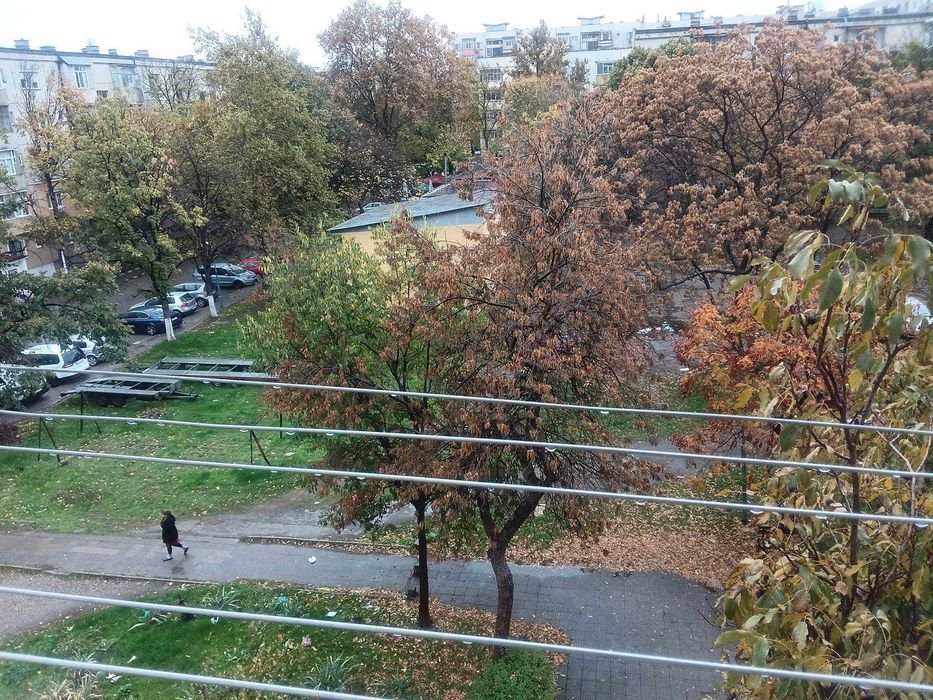 76 кв.м обзаведен Апартамент, в началото на кв. Изгрев с голяма Изба