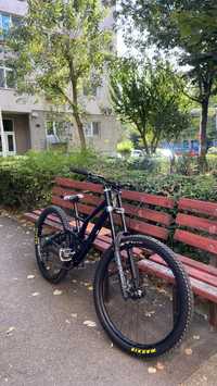 Specialized demo 29