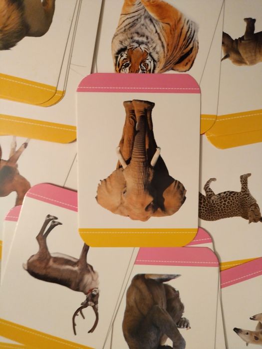 Комплект детски  образователни карти с животни