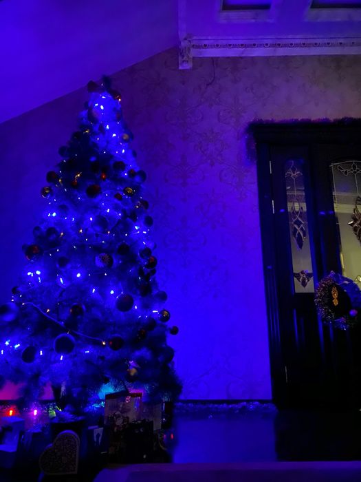 Елка арча продам 2,80-3