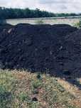 Pamant Negru Vegetal