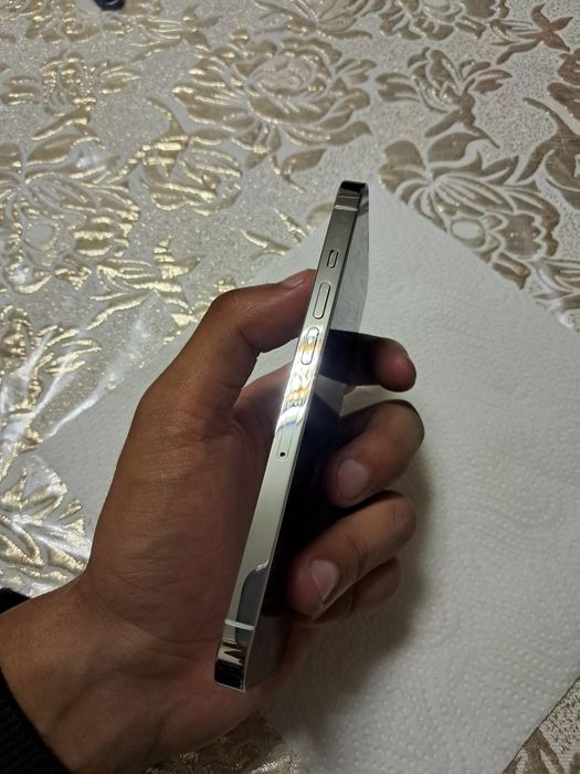 Iphone 13 pro silver
