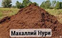 Маххалий Нури 3 телечка бор
