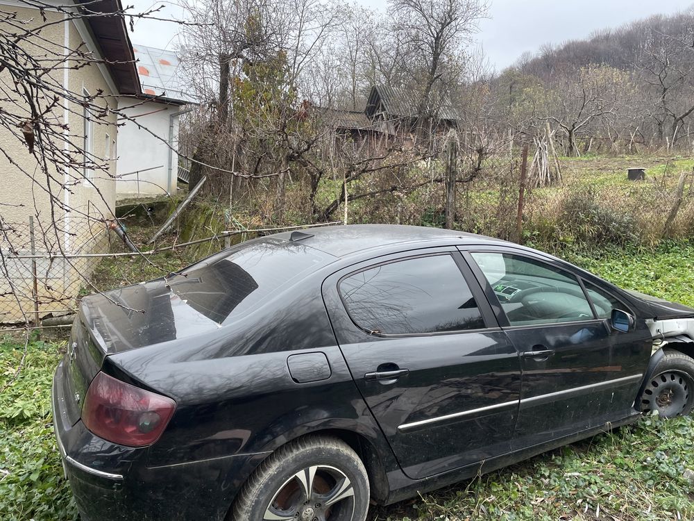 Peugeot 407 dezmebrez