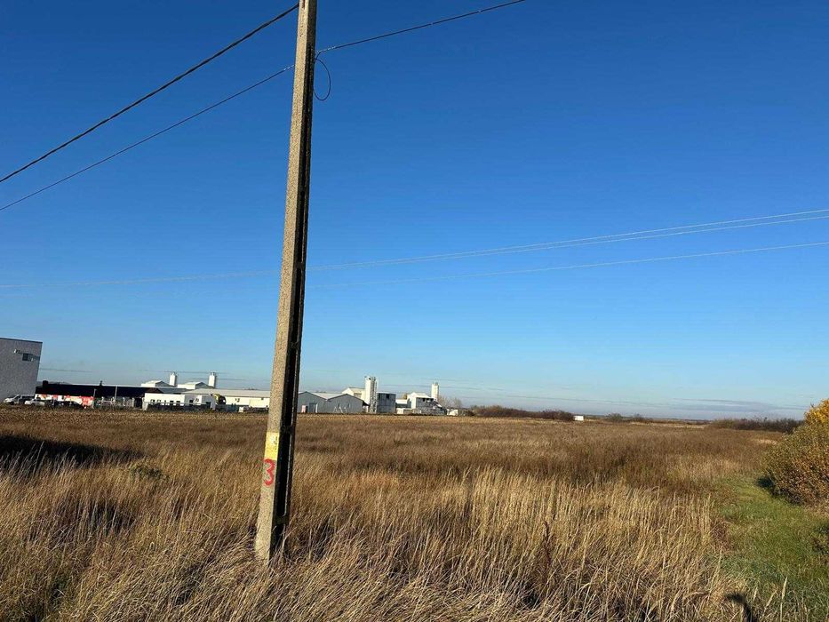 Teren intravilan 8.632 mp Nojorid