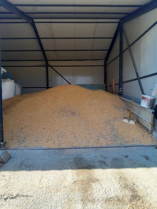 Vând porumb grâu orzoaica ovăz