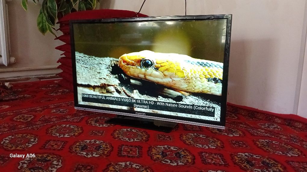 Televizr 81 sm smart amas