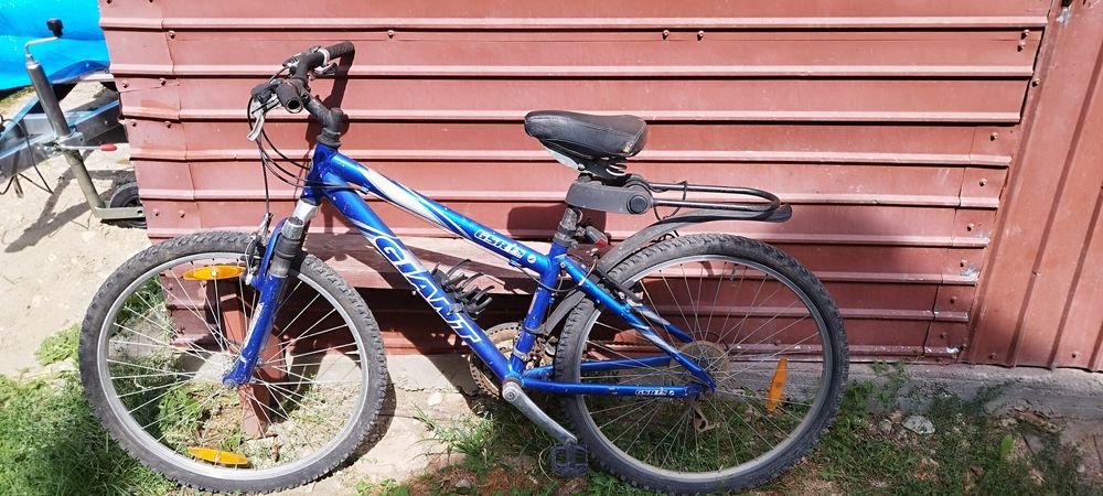 Bicicleta adulți