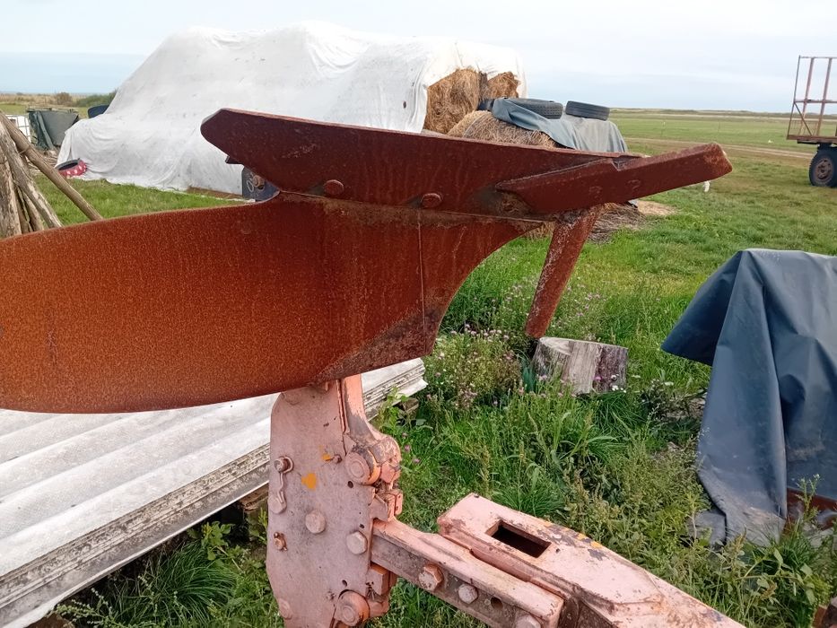 Plug huard 365 cu 3 trupite