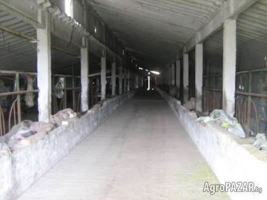 Продава се Къща в с. Окорш, Област Силистра - 360 кв.м за 142 €/кв.м - Снимка #3