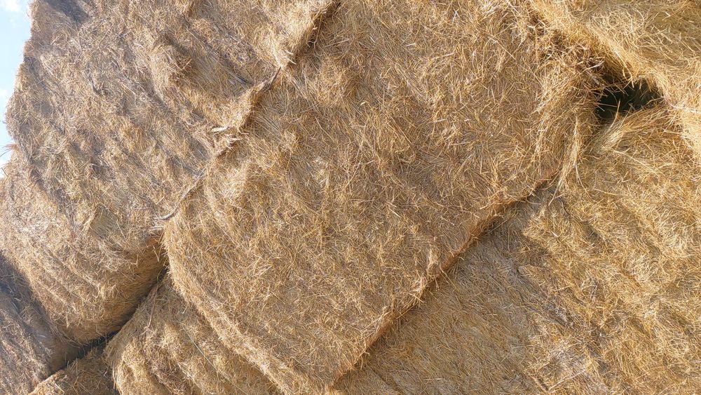 Vând baloti de fan și fan cu lucerna .