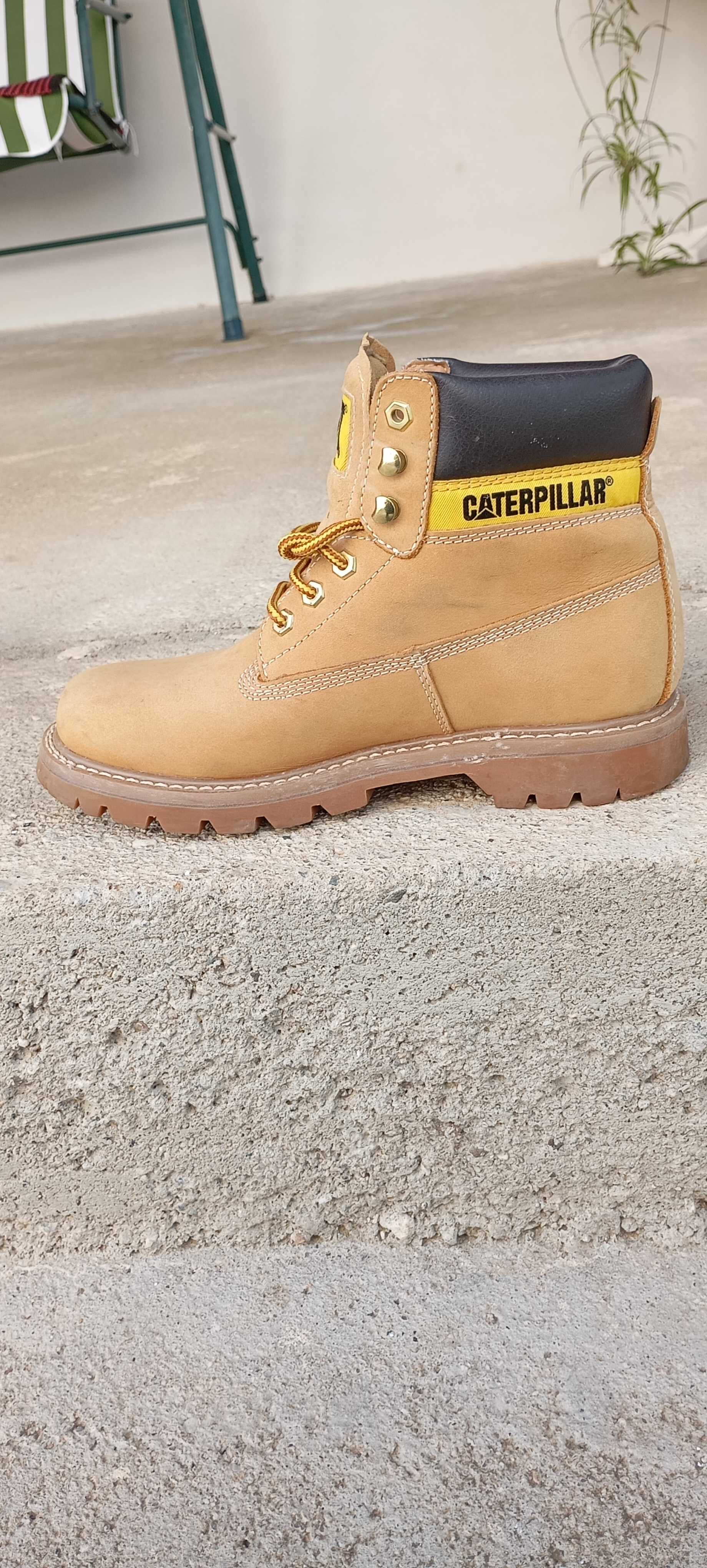 Caterpillar colorado
