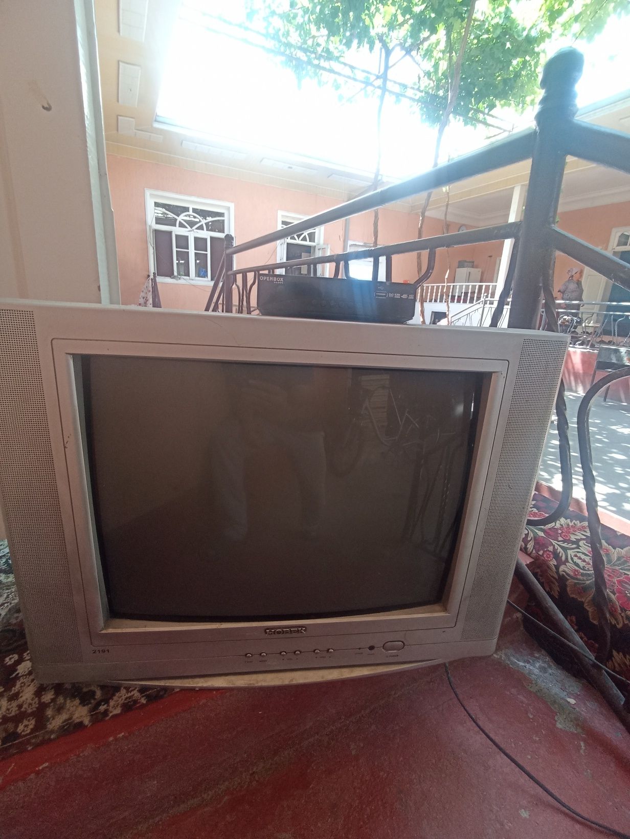 Tilvizr sotladi pastafka bilan