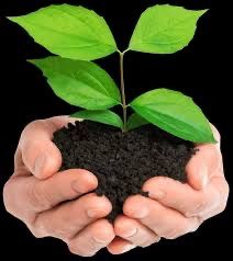 Biogomes dehqonlar uchun ogʻit