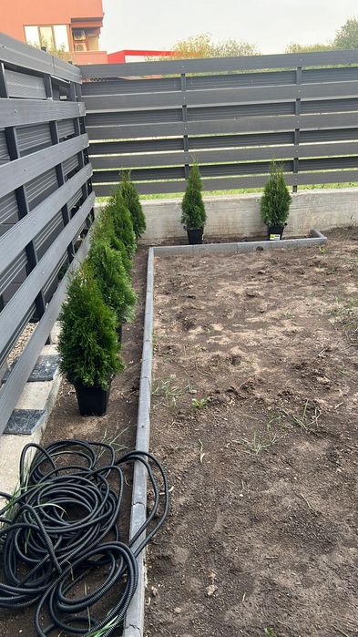 Amanejez gradini cu gazon rulou si plante ornamentale