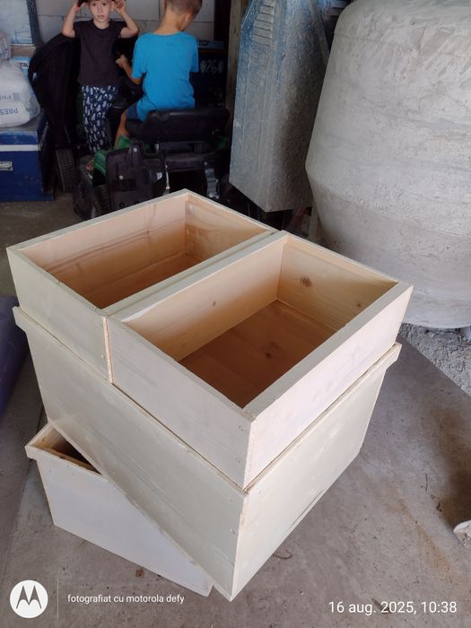 Stupi de albine pavilion