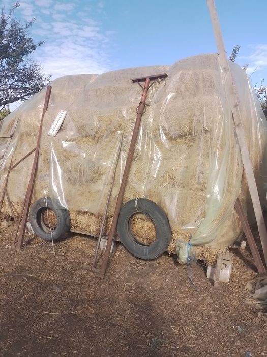 Vând 300 baloti,de lucerna!