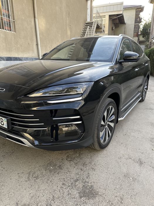 Byd champion 150