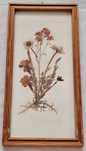 Flori uscate vintage,  decor de perete cu flori presate