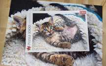 Puzzle Trefl 1000 piese