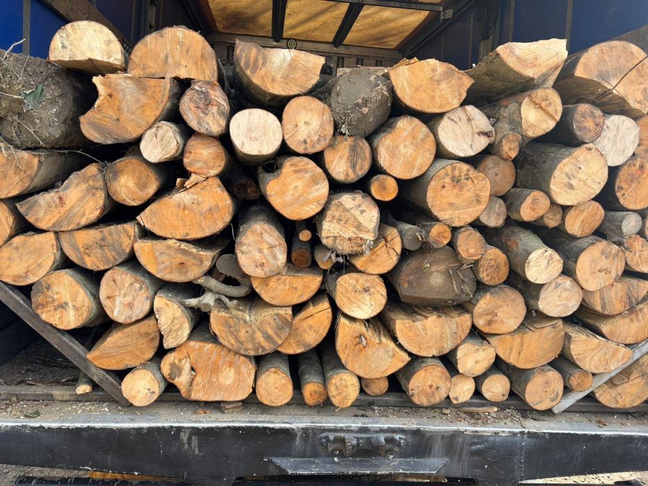 Lemne foc esenta tare (fag)