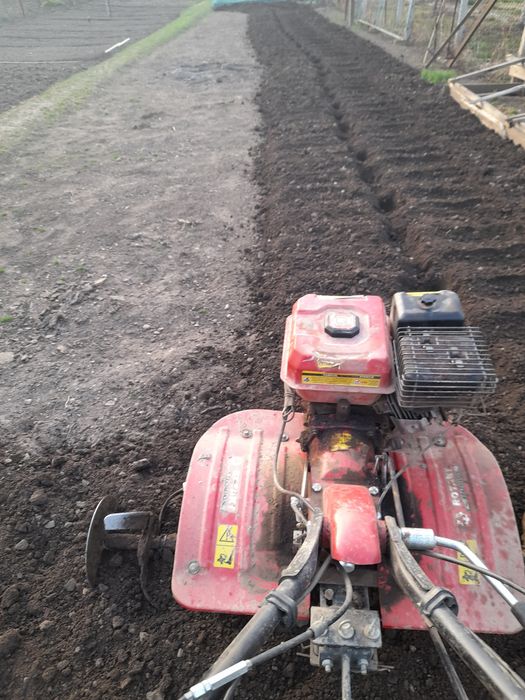 Sap gradini cu motocultor