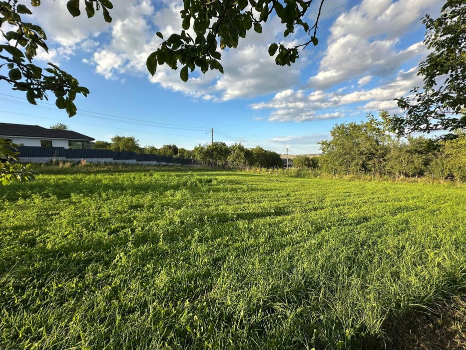 Teren intravilan 950 mp Corușu – panorama spre pădure