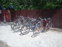 Biciclete și suport biciclete