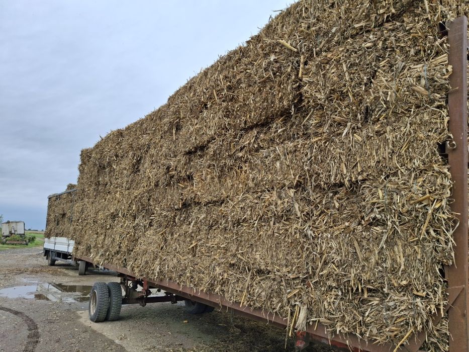 Baloti de tulei tocatura resturi vegetale