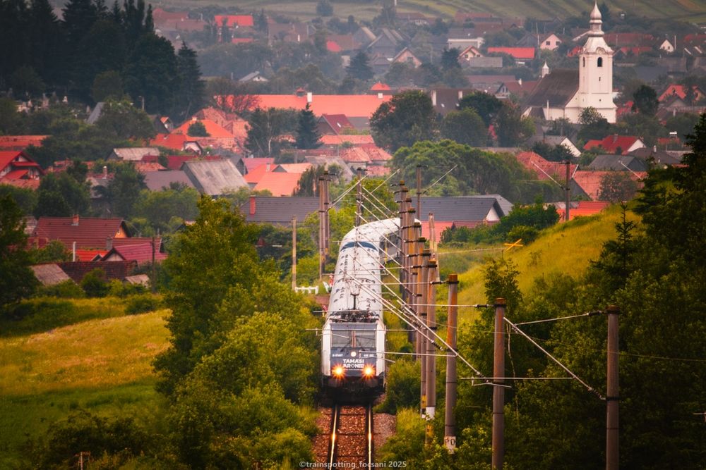 Obiectiv Canon EF-S 55-250mm IS STM + adaptor macro + UV