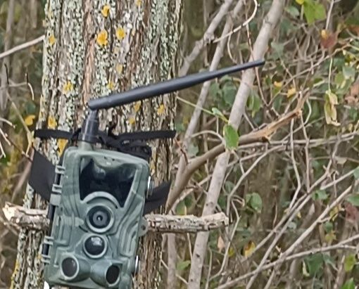 Camera vanatoare