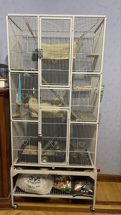 Продаются Шиншиллы пара с клеткой