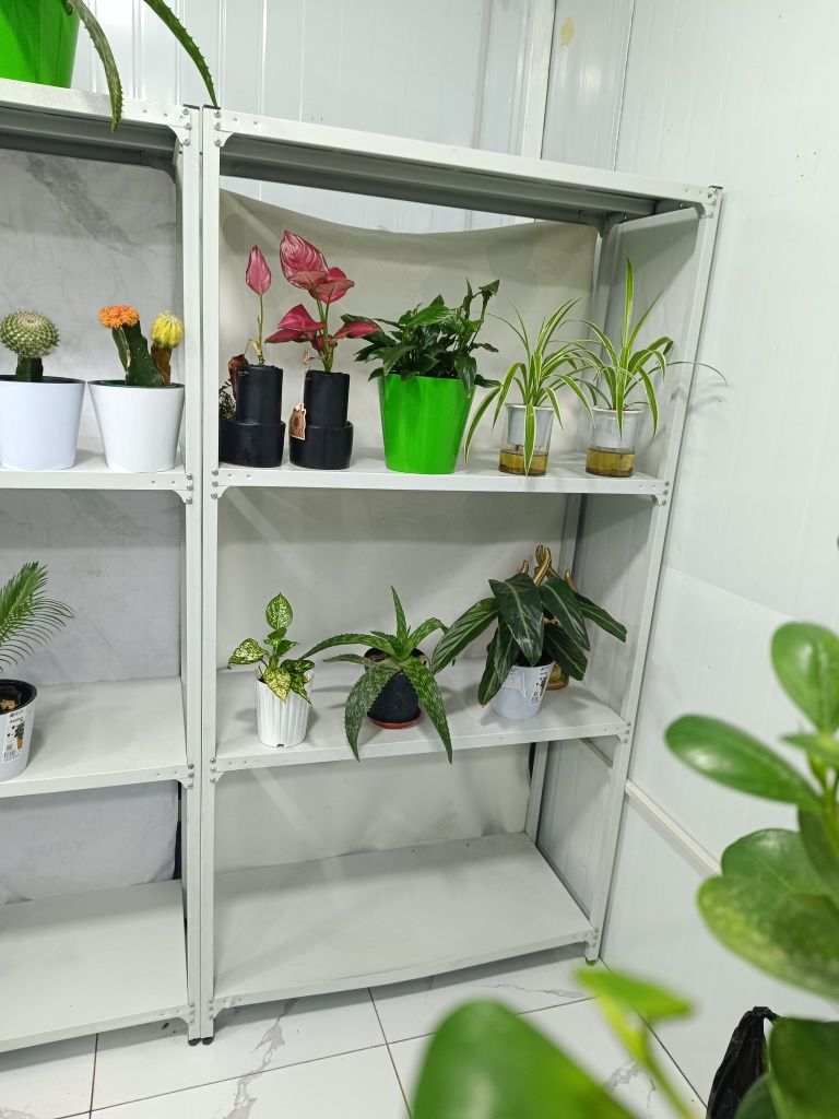 Yengi stelajlarimiz bor