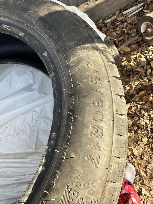 Зимние шины Triangle 215/60 R17