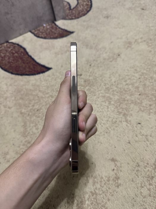 Iphone 12 Pro Max 256gb LL\A Gold