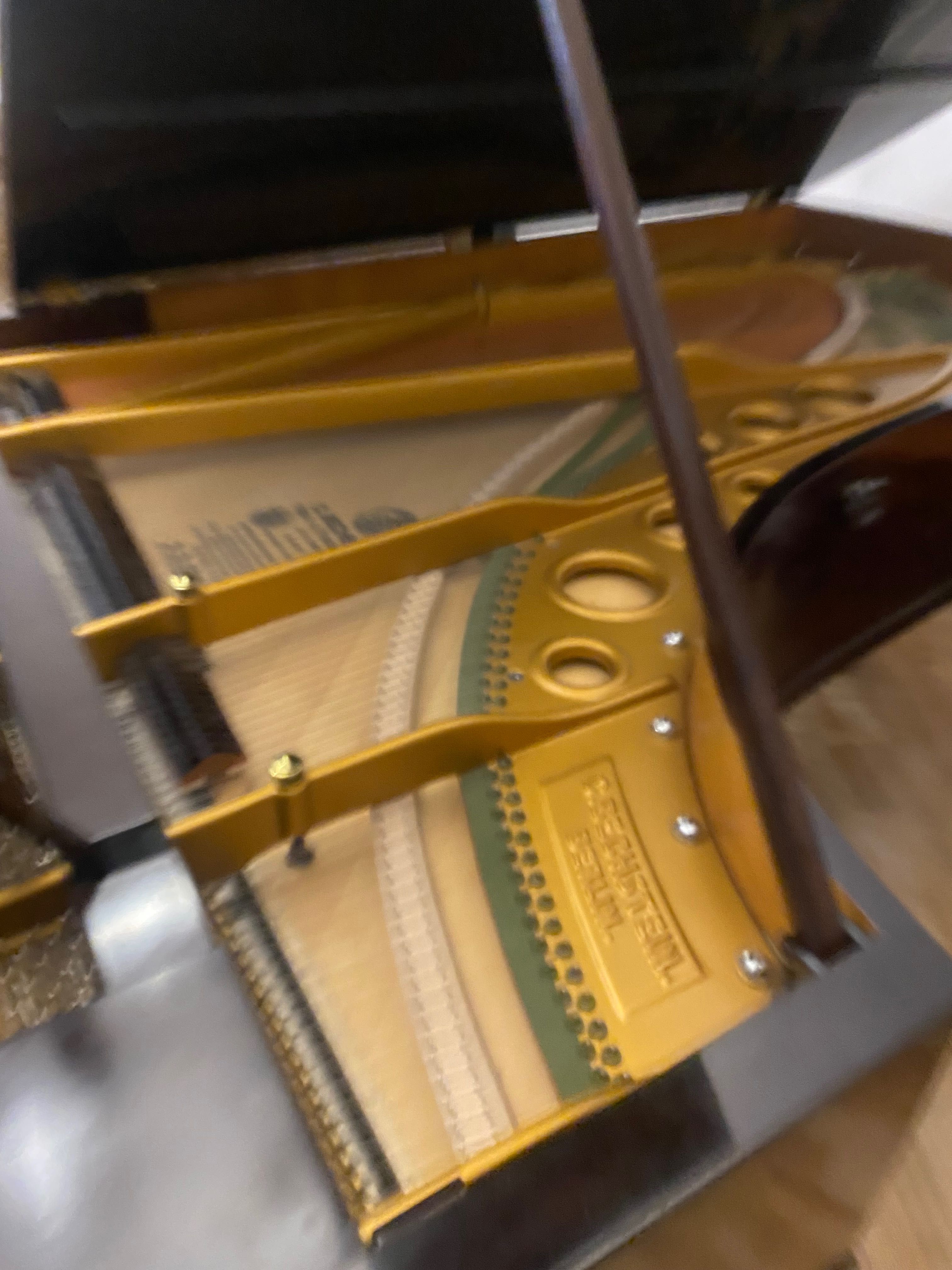 BECHSTEIN-ca și NOU- Pian Concert !