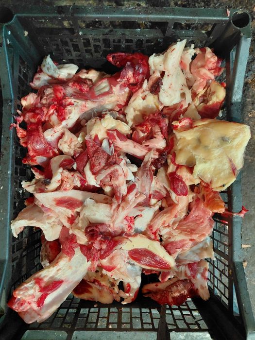 Продам мясо для собак