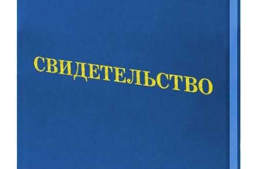 Свидетельство (47 специальностей) повар/логопед/сварщик/воспитатель